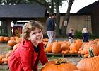 Pumpkin Patch Field Trip